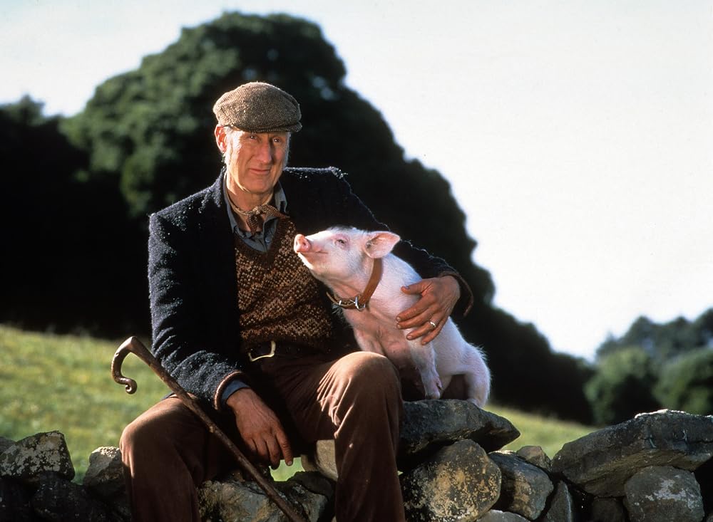 What homesteaders can learn from Babe Ruth… and Babe (the&nbsp;pig)